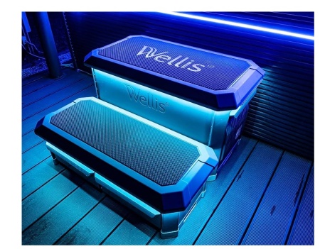 Спа бассейн Wellis Everest Life Premium Спа бассейн Wellis Everest Life Premium